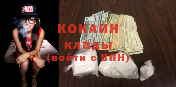 шишки Гусев