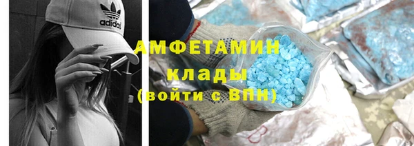 шишки Гусев