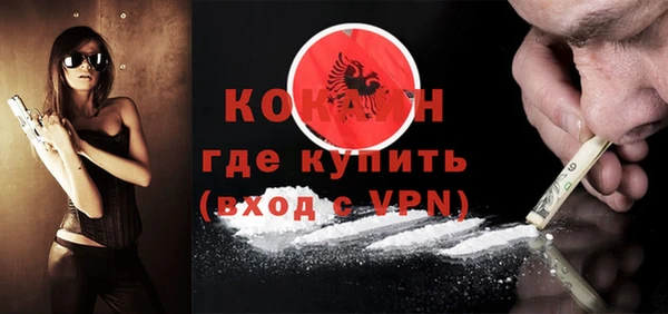 ПСИЛОЦИБИНОВЫЕ ГРИБЫ Гусь-Хрустальный