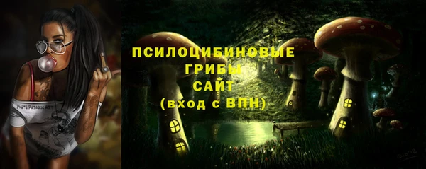 ПСИЛОЦИБИНОВЫЕ ГРИБЫ Гусь-Хрустальный