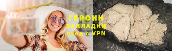 прущие грибы Гусиноозёрск