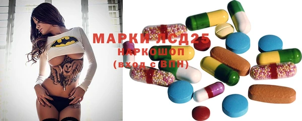 шишки Гусев