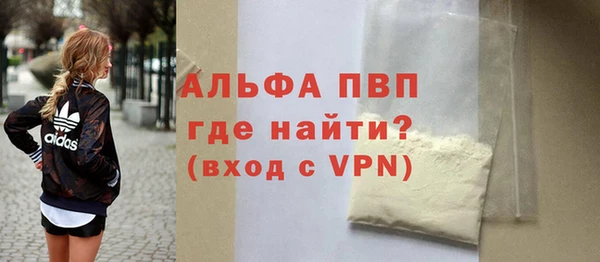 шишки Гусев