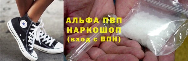 прущие грибы Гусиноозёрск