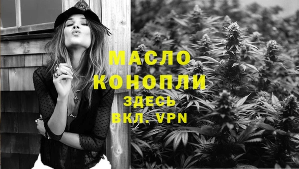 прущие грибы Гусиноозёрск