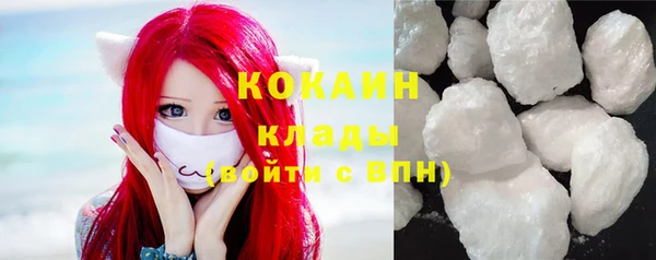 ПСИЛОЦИБИНОВЫЕ ГРИБЫ Гусь-Хрустальный