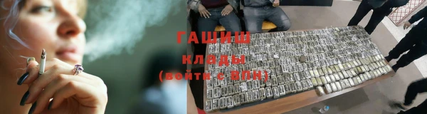 шишки Гусев