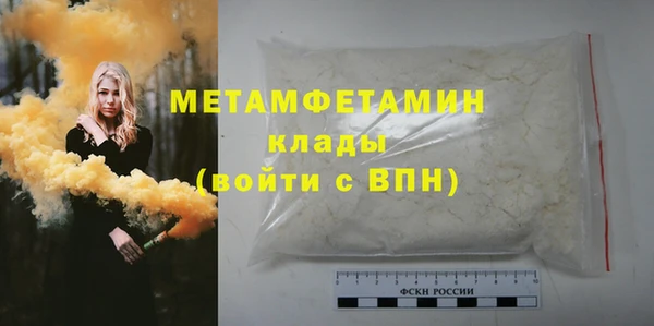 шишки Гусев
