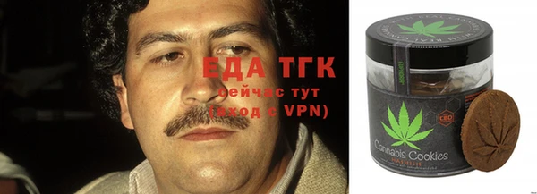 прущие грибы Гусиноозёрск