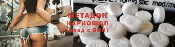 прущие грибы Гусиноозёрск