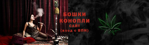 шишки Гусев