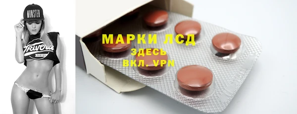 шишки Гусев