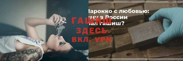 шишки Гусев