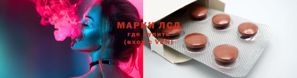 шишки Гусев