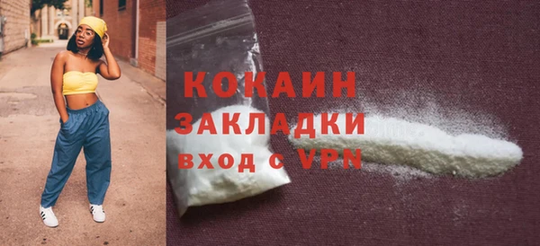 прущие грибы Гусиноозёрск