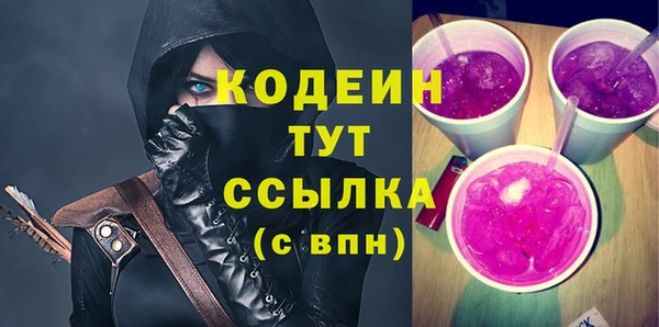 шишки Гусев