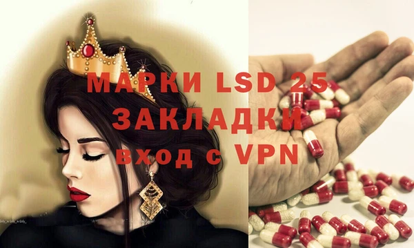 прущие грибы Гусиноозёрск