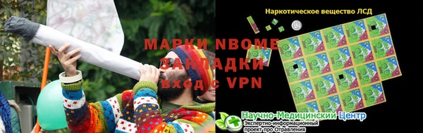 шишки Гусев