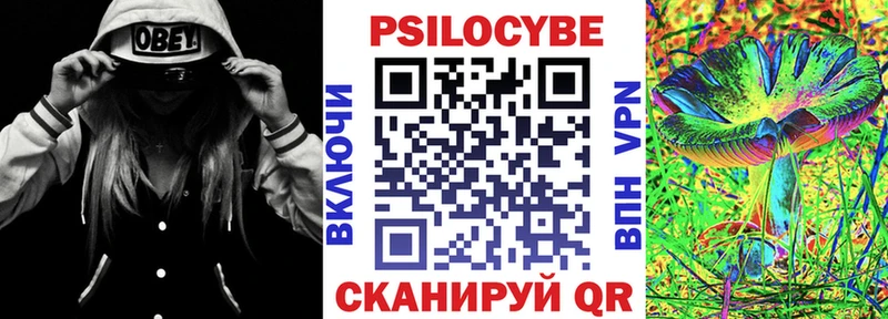 Купить  Малая Вишера  Галлюциногенные грибы Magic Shrooms 